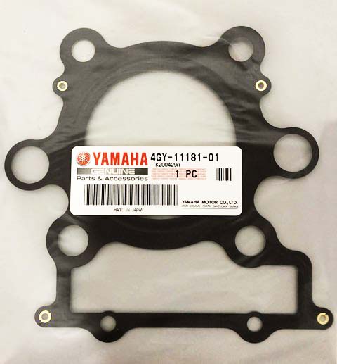 Прокладка головки цилиндра Yamaha TTR250 93-06, 4GY-11181-01